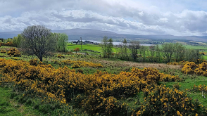 Building Plots in Bonar Bridge photo